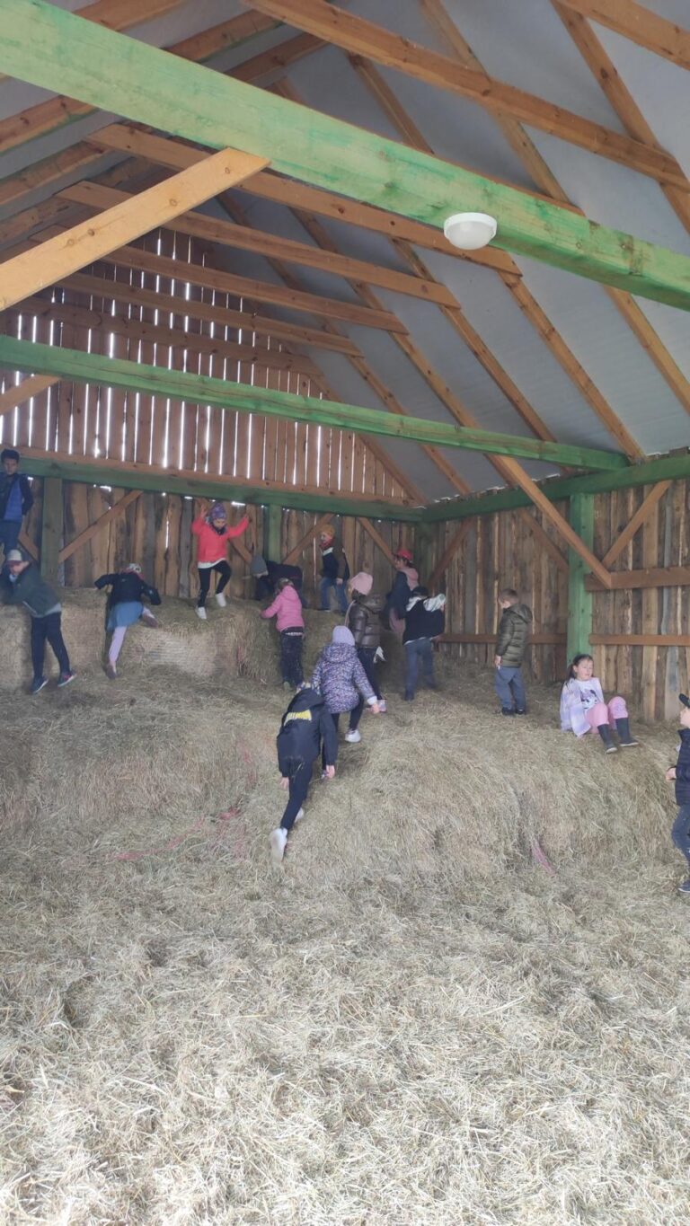 agroturystyka dla dzieci; warsztaty dla dzieci i młodzieży na wsi; agroturystyka z zajęciami edukacyjnymi; wakacje z dziećmi w naturze; przygoda dla dzieci na wsi; warsztaty ekologiczne dla dzieci; gospodarstwo agroturystyczne; wyjazdy dla szkół na wieś; warsztaty kreatywne dla dzieci; agroturystyka dla rodzin z dziećmi; kreatywne zajęcia dla dzieci;