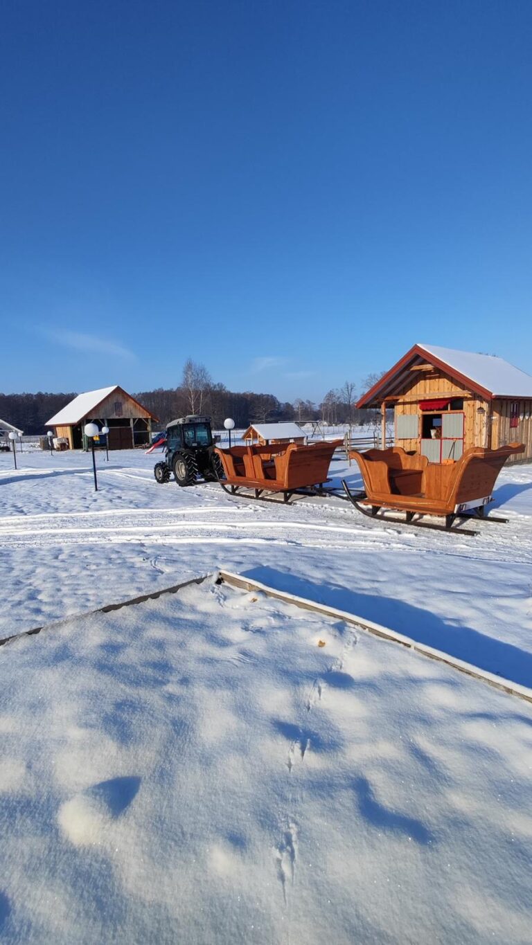 agroturystyka dla dzieci; warsztaty dla dzieci i młodzieży na wsi; agroturystyka z zajęciami edukacyjnymi; wakacje z dziećmi w naturze; przygoda dla dzieci na wsi; warsztaty ekologiczne dla dzieci; gospodarstwo agroturystyczne; wyjazdy dla szkół na wieś; warsztaty kreatywne dla dzieci; agroturystyka dla rodzin z dziećmi; kreatywne zajęcia dla dzieci;
