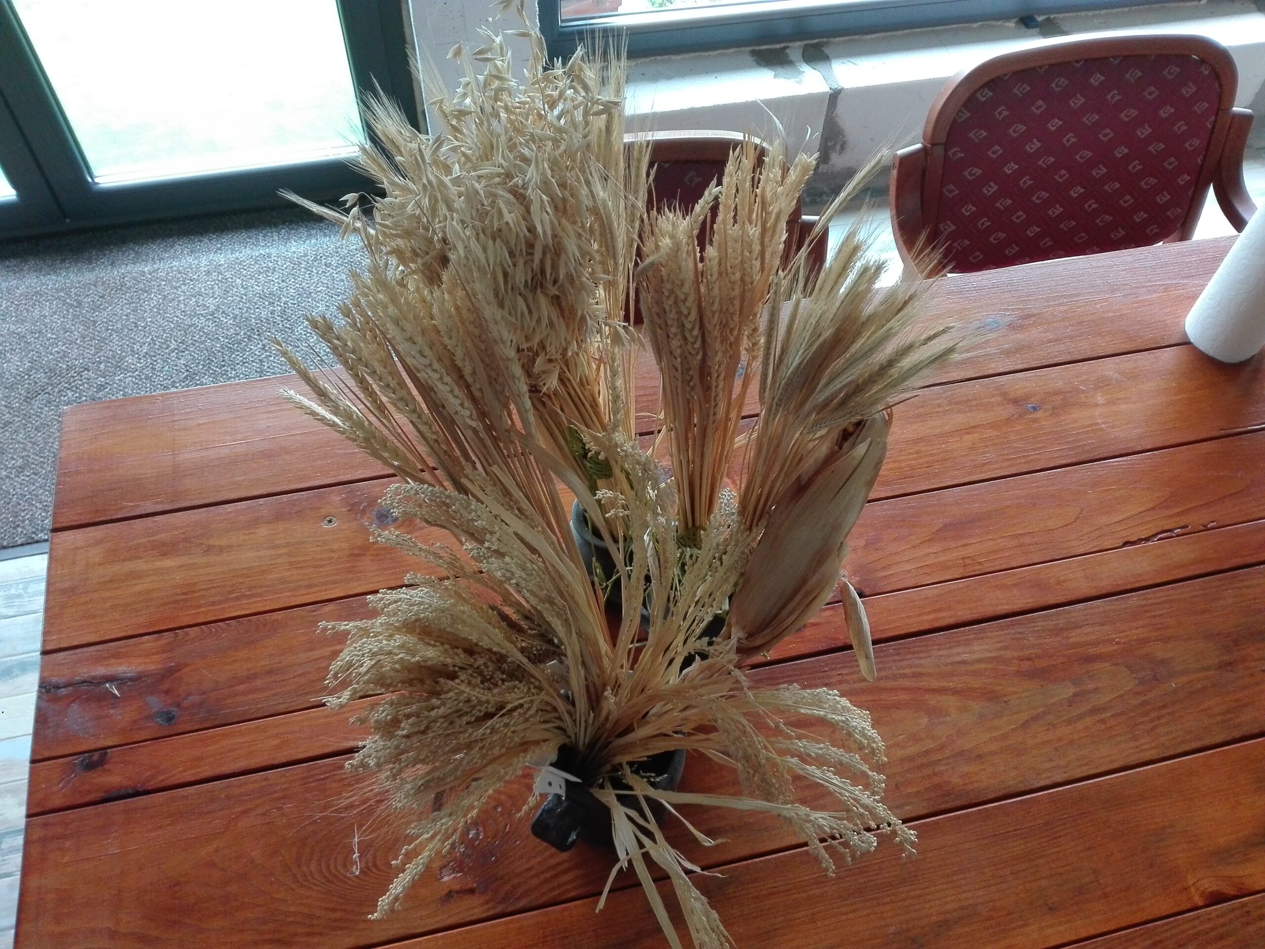 agroturystyka dla dzieci; warsztaty dla dzieci i młodzieży na wsi; agroturystyka z zajęciami edukacyjnymi; wakacje z dziećmi w naturze; przygoda dla dzieci na wsi; warsztaty ekologiczne dla dzieci; gospodarstwo agroturystyczne; wyjazdy dla szkół na wieś; warsztaty kreatywne dla dzieci; agroturystyka dla rodzin z dziećmi; kreatywne zajęcia dla dzieci;