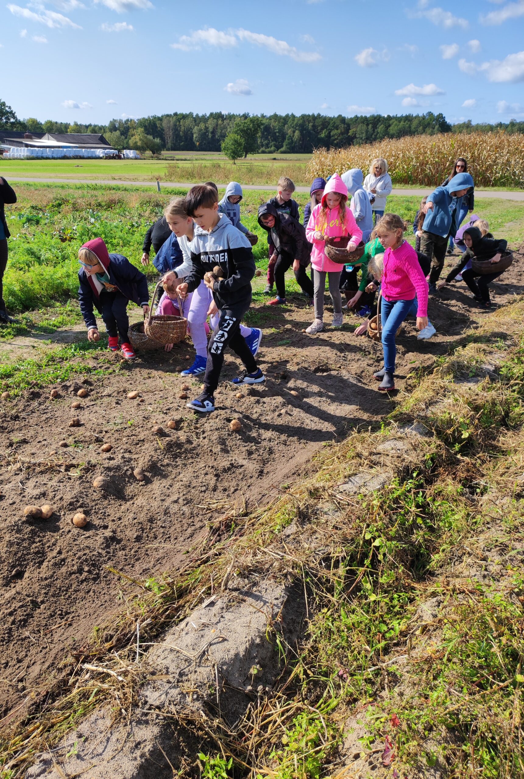 agroturystyka dla dzieci; warsztaty dla dzieci i młodzieży na wsi; agroturystyka z zajęciami edukacyjnymi; wakacje z dziećmi w naturze; przygoda dla dzieci na wsi; warsztaty ekologiczne dla dzieci; gospodarstwo agroturystyczne wyjazdy dla szkół na wieś; warsztaty kreatywne dla dzieci; agroturystyka dla rodzin z dziećmi;