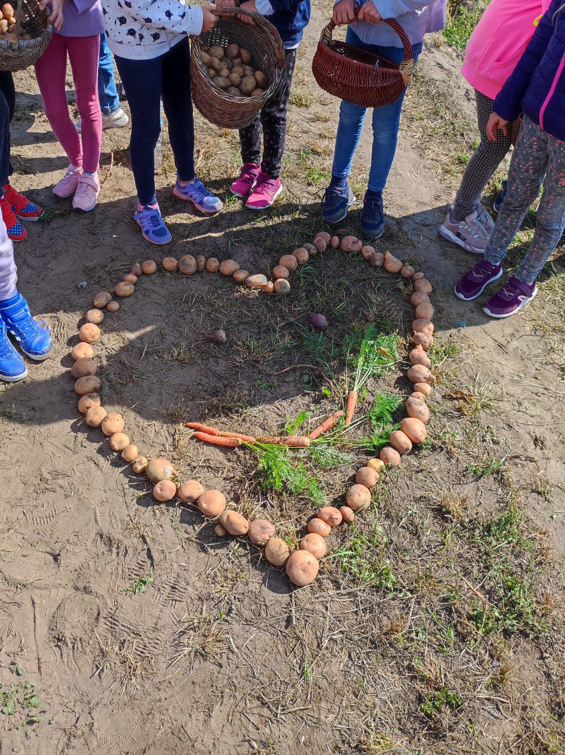 agroturystyka dla dzieci; warsztaty dla dzieci i młodzieży na wsi; agroturystyka z zajęciami edukacyjnymi; wakacje z dziećmi w naturze; przygoda dla dzieci na wsi; warsztaty ekologiczne dla dzieci; gospodarstwo agroturystyczne wyjazdy dla szkół na wieś; warsztaty kreatywne dla dzieci; agroturystyka dla rodzin z dziećmi;