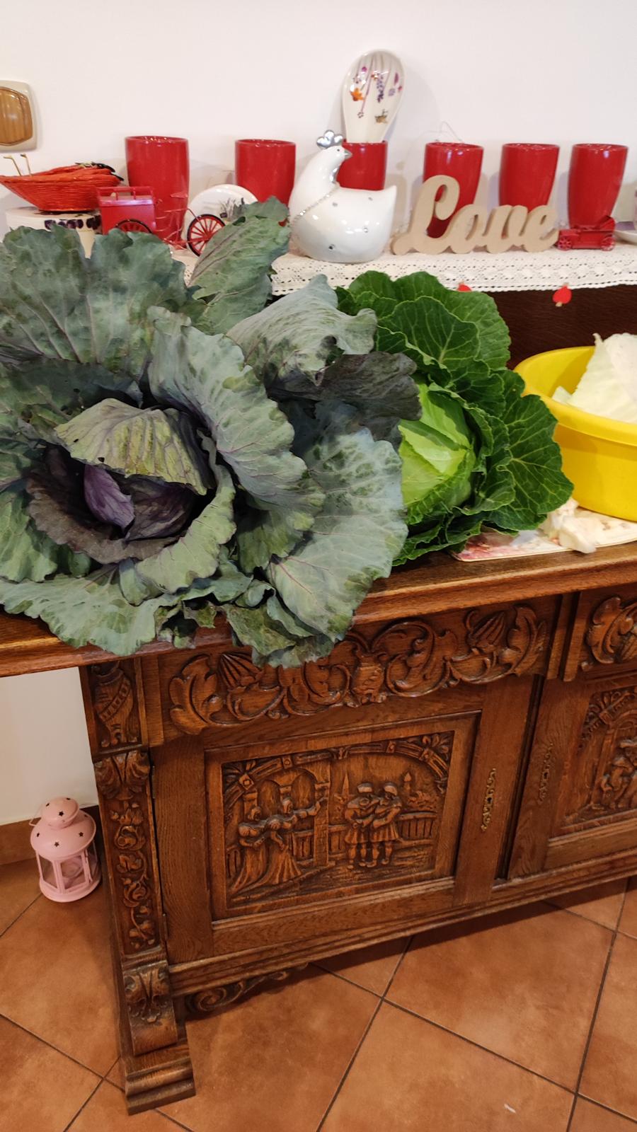 agroturystyka dla dzieci; warsztaty dla dzieci i młodzieży na wsi; agroturystyka z zajęciami edukacyjnymi; wakacje z dziećmi w naturze; przygoda dla dzieci na wsi; warsztaty ekologiczne dla dzieci; gospodarstwo agroturystyczne wyjazdy dla szkół na wieś; warsztaty kreatywne dla dzieci; agroturystyka dla rodzin z dziećmi;