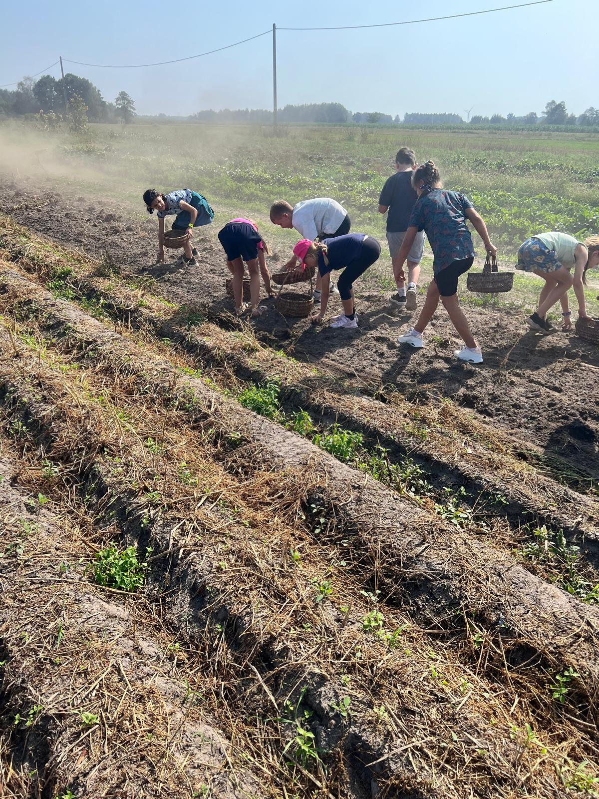 agroturystyka dla dzieci; warsztaty dla dzieci i młodzieży na wsi; agroturystyka z zajęciami edukacyjnymi; wakacje z dziećmi w naturze; przygoda dla dzieci na wsi; warsztaty ekologiczne dla dzieci; gospodarstwo agroturystyczne wyjazdy dla szkół na wieś; warsztaty kreatywne dla dzieci; agroturystyka dla rodzin z dziećmi;